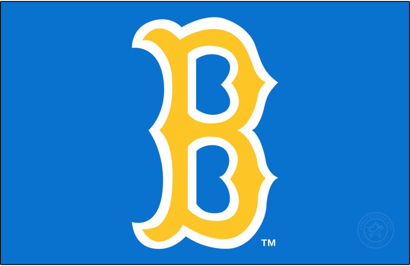 UCLA Bruins 1972-2017 Alternate Logo v2 iron on transfers for clothing